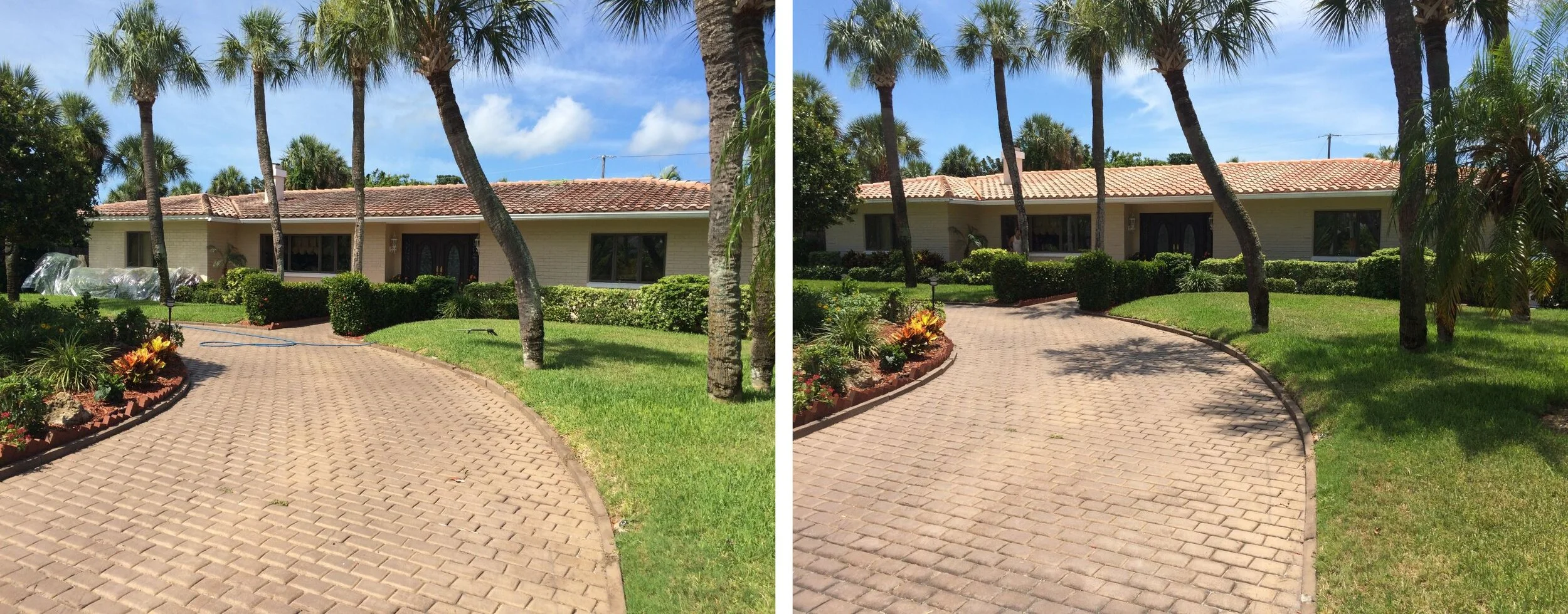 Can a Dirty Roof Affect Your Home Insurance in Florida?