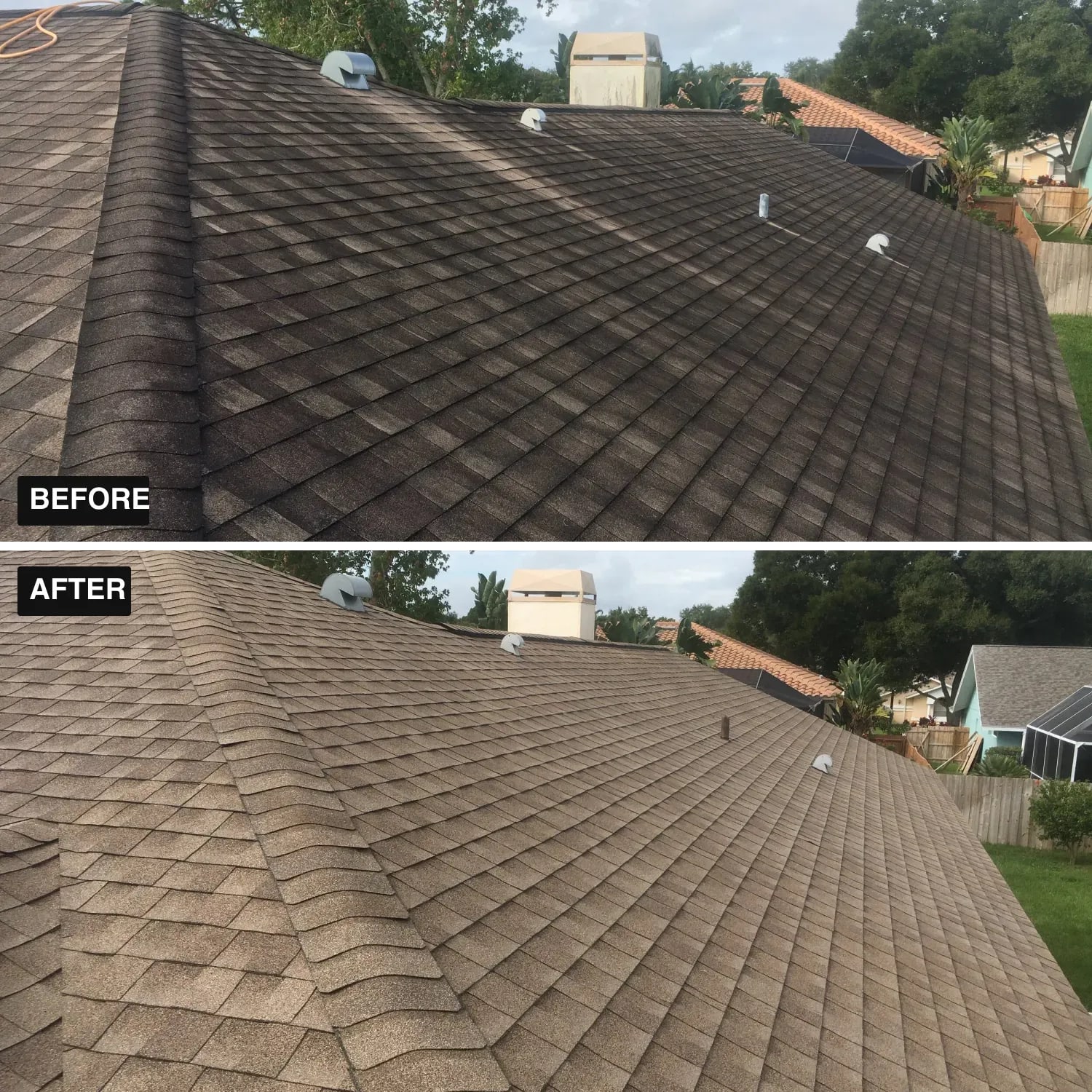 Exterior Mold and Mildew on Florida Homes: What Removes It